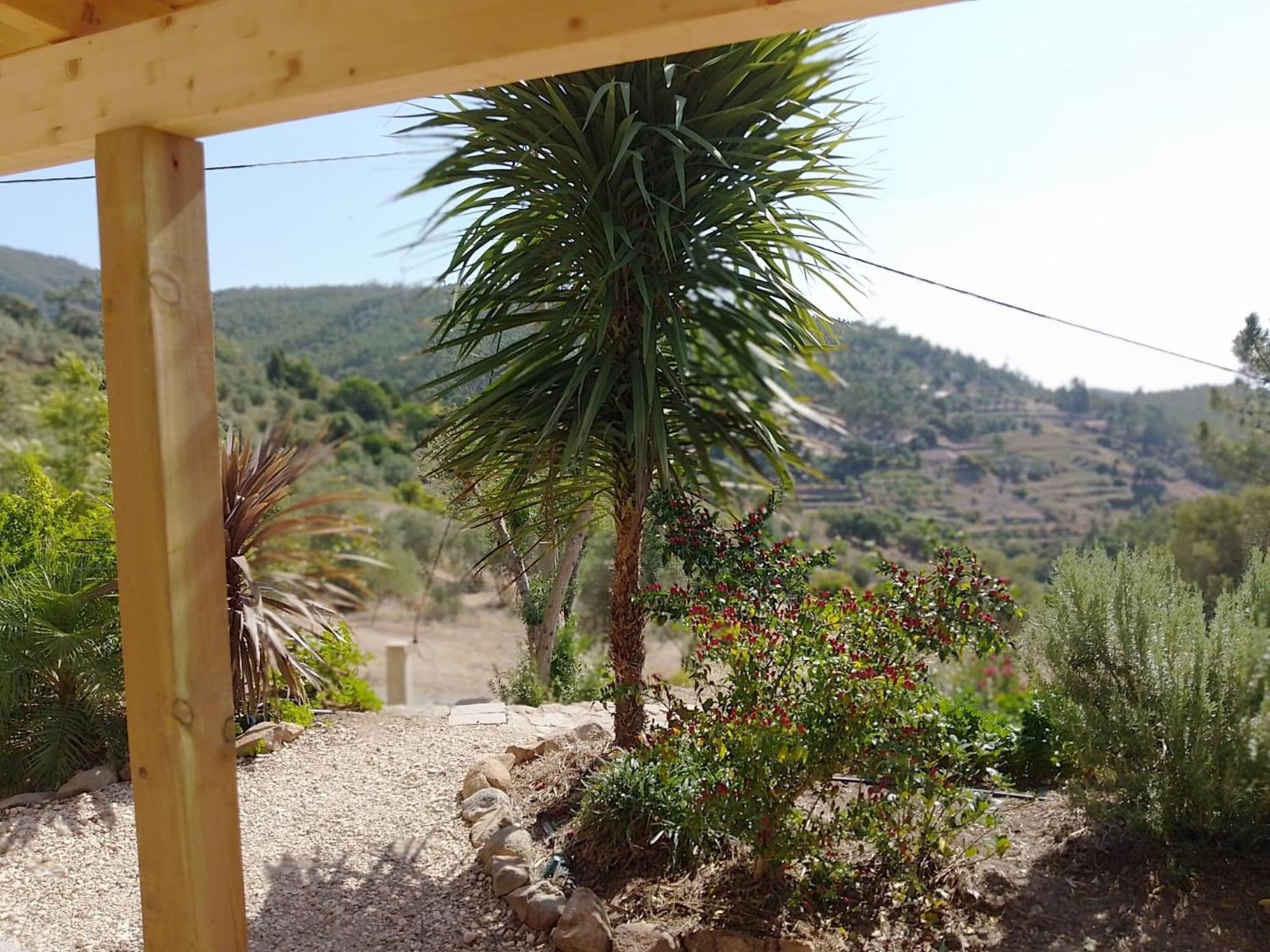 Villa Casa De Celebrar A Vida Monchique Esterno foto